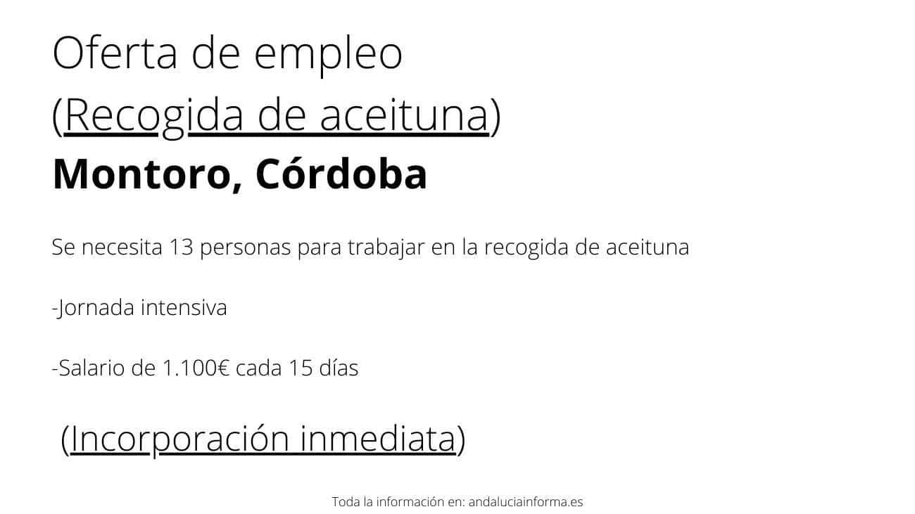 trabajar aceituna Córdoba