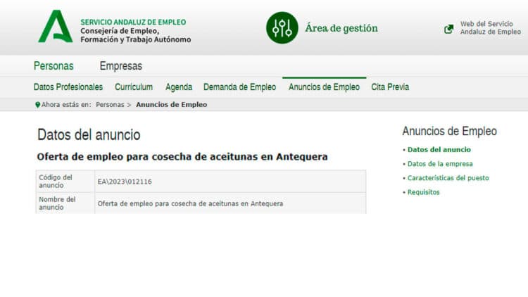Se buscan operarios agrícolas para trabajar en la campaña de aceituna en Antequera.