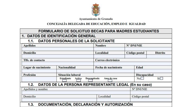 Cómo solicitar las Becas para Madres Estudiantes del Ayuntamiento de Granada.