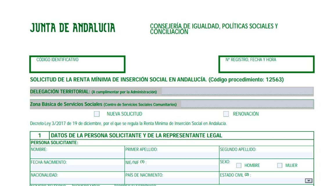 Cuantía Renta Mínima de Inserción Social Andalucía 2024