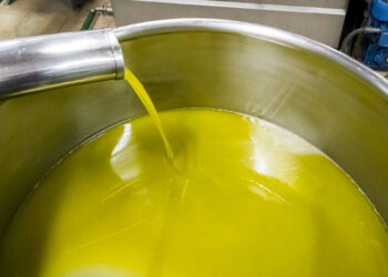 Alternativa aceite de oliva
