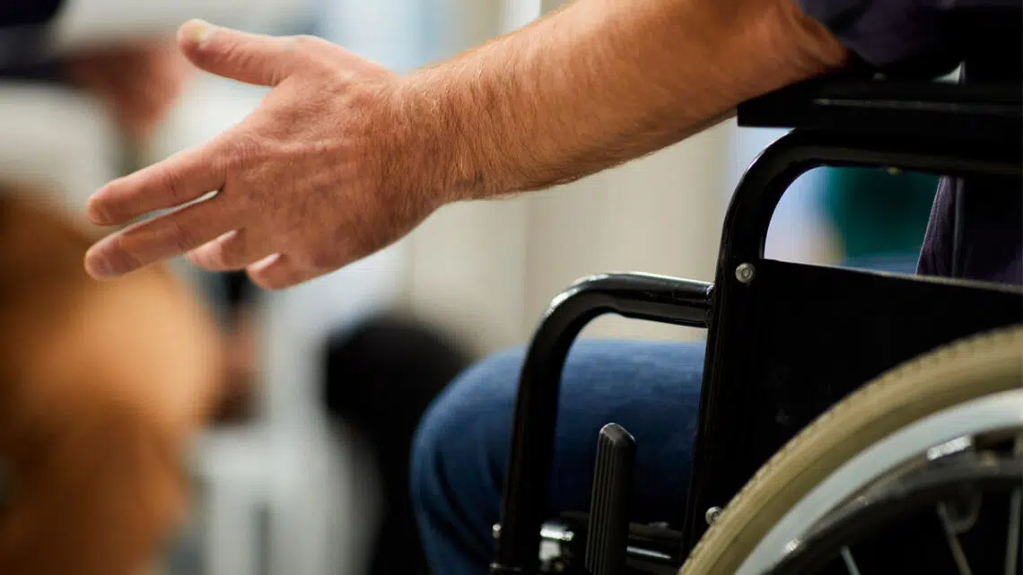 Ayudas para discapacitados de la Seguridad Social