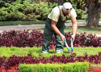 Se buscan jardineros en municipios Andalucía