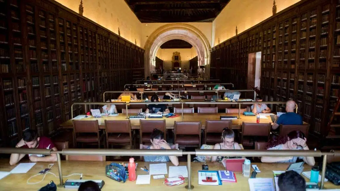 Trabajar de bibliotecario en la Universidad de Granada