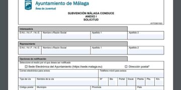 Ayuda para sacar el carnet de conducir en Málaga