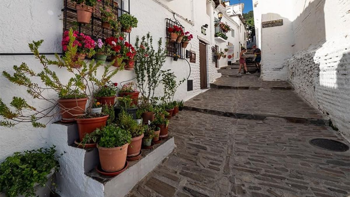 Huye del calor con estos destinos frescos