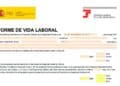 Consultar vida laboral