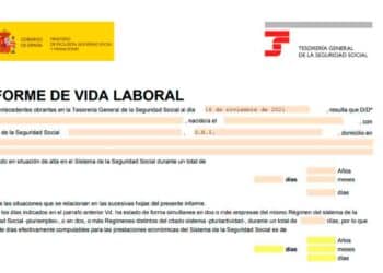 Consultar vida laboral