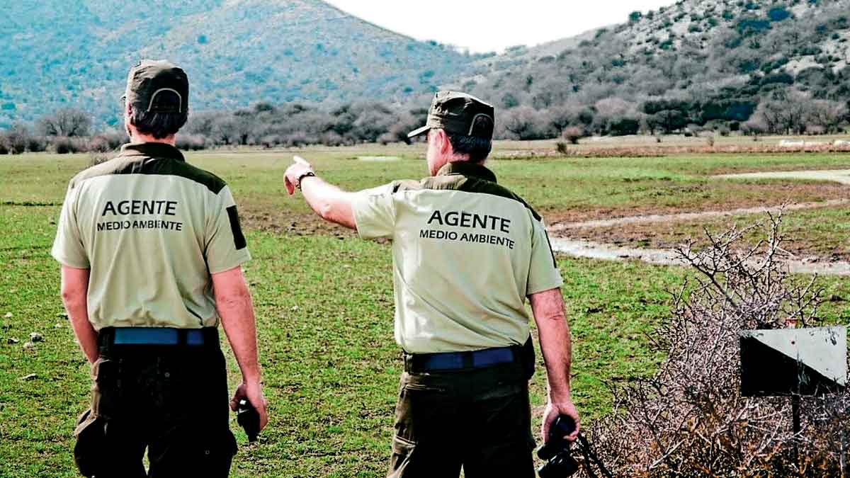 Agentes Medio Ambiente