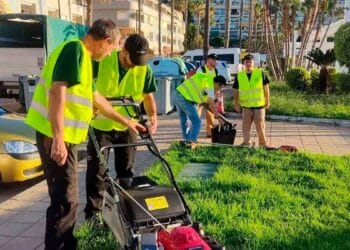 Ofrecemos una selección de ofertas de empleo para trabajar en Andalucía enfocadas en el sector de la jardinería: cómo enviar el currículum.