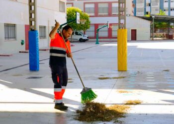 Ofrecemos una recopilación de ofertas de empleo publicadas por la web del SAE, hoy lunes 11 de noviembre de 2024.