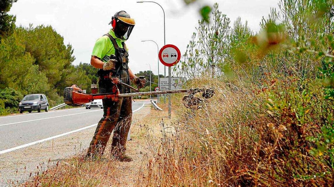 Recopilación de ofertas publicadas en la web del Servicio Andaluz de Empleo, hoy viernes 22 de noviembre de 2024.