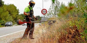 Recopilación de ofertas publicadas en la web del Servicio Andaluz de Empleo, hoy viernes 22 de noviembre de 2024.