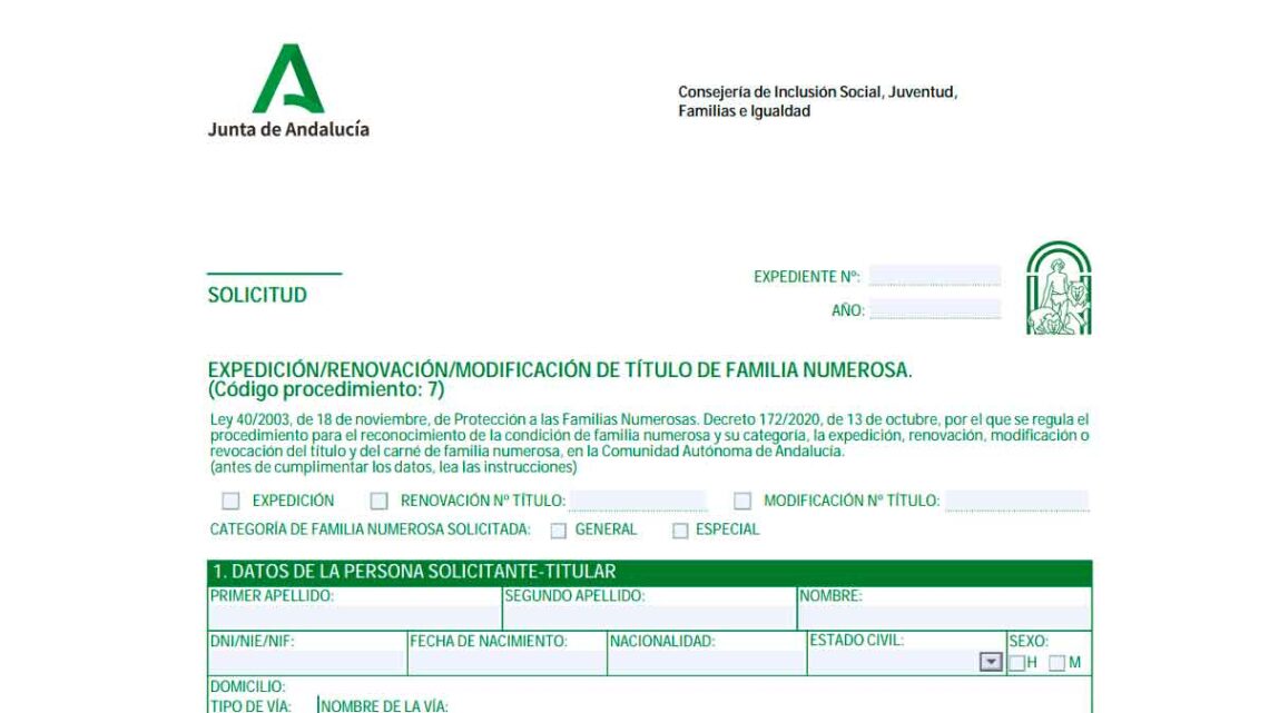 Existen 3 tipos de requisitos que hay que cumplir para que pueda mantenerse el Título de Familia Numerosa.