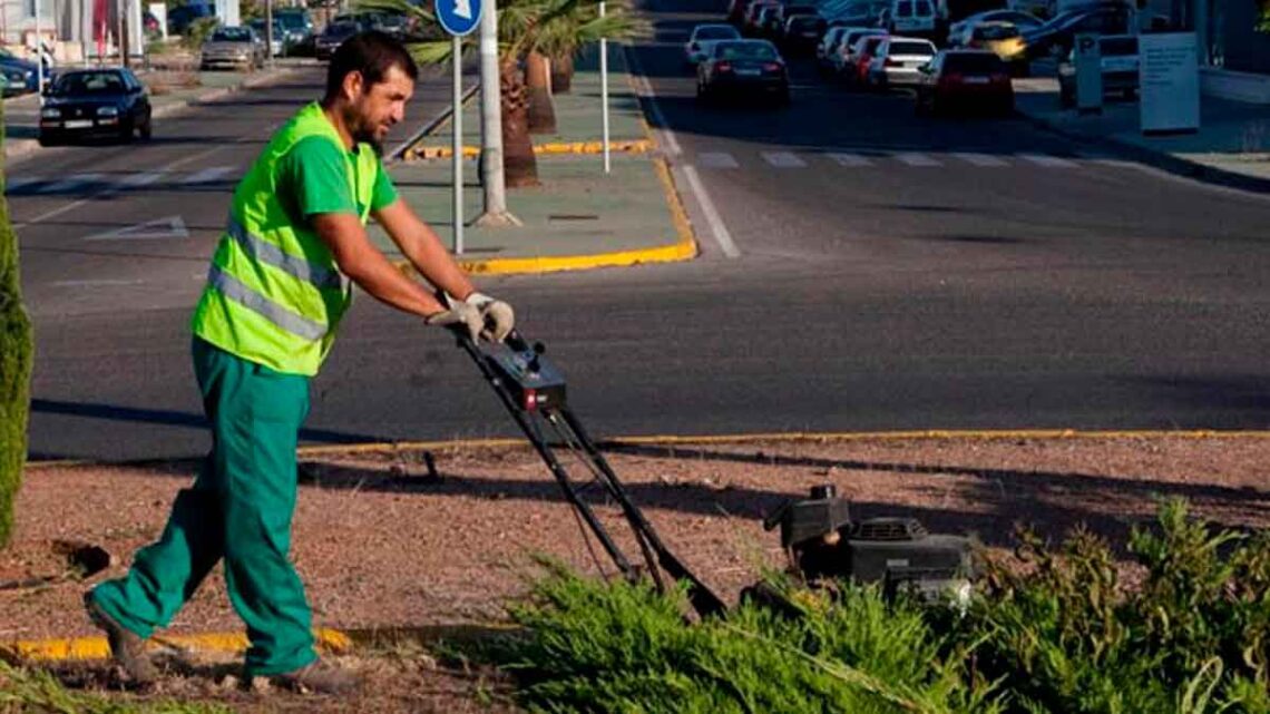 El Excmo. Ayuntamiento de Córdoba publica una convocatoria para cubrir 10 plazas de jardinero: requisitos que se pide a los aspirantes.