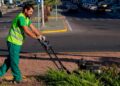 El Excmo. Ayuntamiento de Córdoba publica una convocatoria para cubrir 10 plazas de jardinero: requisitos que se pide a los aspirantes.