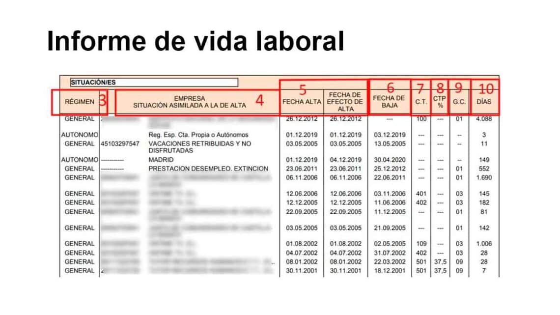 Aprende a entender todas las partes y siglas que conforma el informe de vida laboral: un documento gratuito que expide la TGSS.