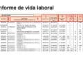 Aprende a entender todas las partes y siglas que conforma el informe de vida laboral: un documento gratuito que expide la TGSS.