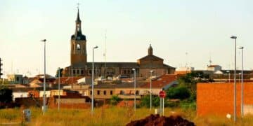 Se busca personal para la recogida de cítricos en este pueblo de Córdoba