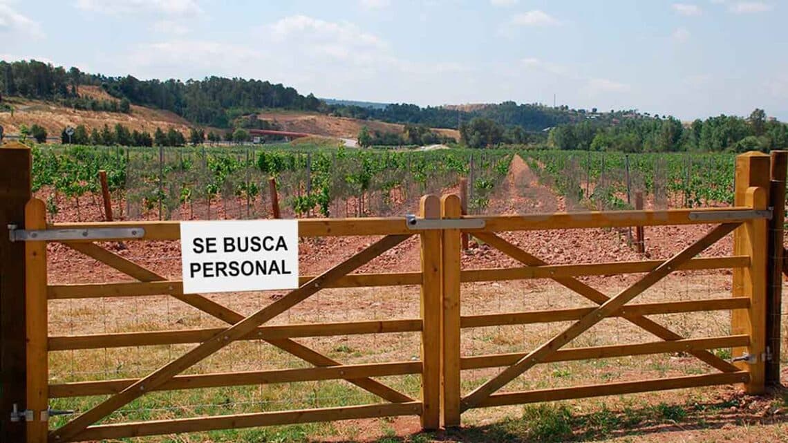 Empresa del sector agrícola en Níjar (Almería), necesita incorporar a un/a capataz de finca: requisitos y forma de enviar el currículum.