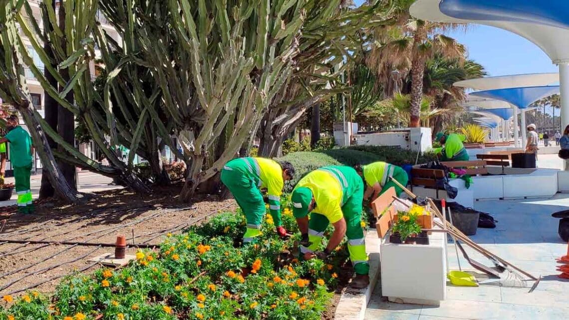 Recopilación de ofertas de empleo del SAE para trabajar de jardinero en distintas ubicaciones de Andalucía.