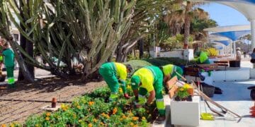 Recopilación de ofertas de empleo del SAE para trabajar de jardinero en distintas ubicaciones de Andalucía.