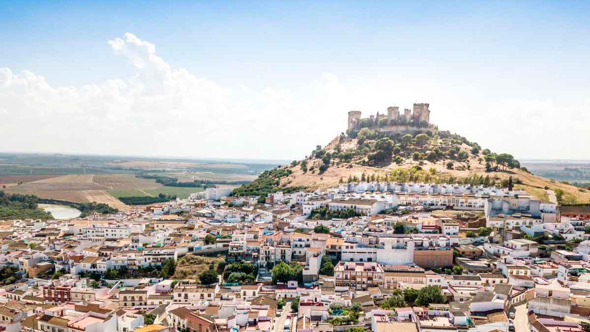 A empresa del sector agrícola, le urge contratación de más de medio centenar de peones no cualificados: cómo postularse a la oferta.