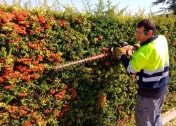 Trabajador de jardinería recortando setos en Andalucía con equipo profesional