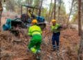 Eulen está buscando personal para trabajar como forestal en varios pueblos de la provincia de Cádiz: cómo enviar el CV.