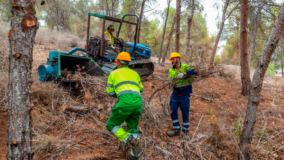 Eulen está buscando personal para trabajar como forestal en varios pueblos de la provincia de Cádiz: cómo enviar el CV.