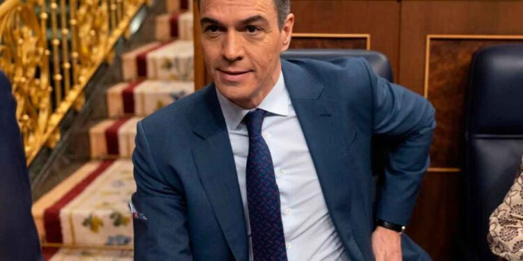 El Gobierno de Pedro Sánchez acaba de aprobar el anteproyecto de la nueva Ley de Dependencia y de la Ley de Discapacidad.