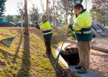 El Servicio Andaluz de Empleo anuncia que se buscan jardineros en distintos municipios de la geografía andaluza: con incorporación inmediata.