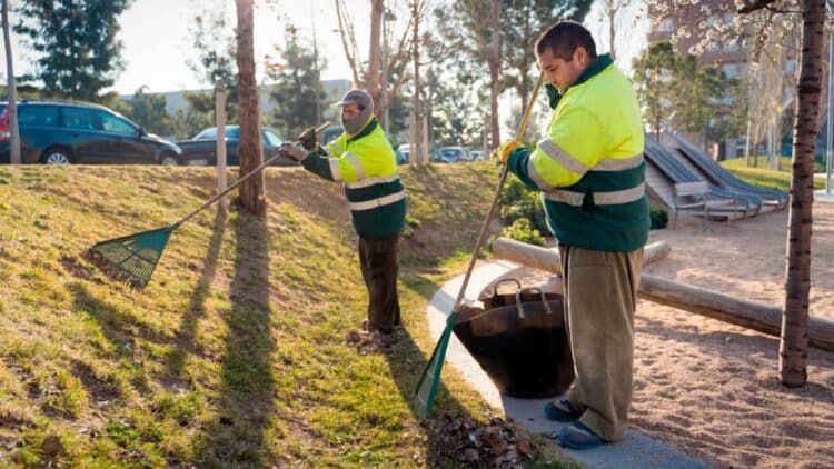 El Servicio Andaluz de Empleo anuncia que se buscan jardineros en distintos municipios de la geografía andaluza: con incorporación inmediata.