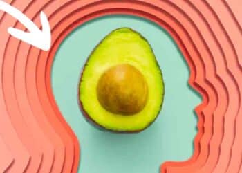 El aguacate es una cena muy nutritiva para el cerebro