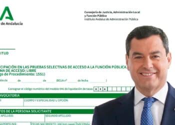 La Junta de Andalucía publica una nueva convocatoria de plazas del Cuerpo de Técnicos de Grado Medio en turno libre.