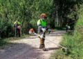 Grupo Eulen abre proceso de selección para incorporar a operarios forestales en diversas provincias de Andalucía.