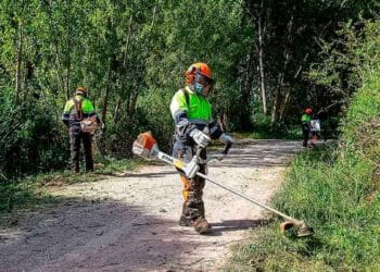 Grupo Eulen abre proceso de selección para incorporar a operarios forestales en diversas provincias de Andalucía.