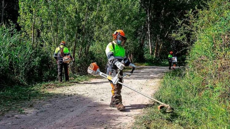 Grupo Eulen abre proceso de selección para incorporar a operarios forestales en diversas provincias de Andalucía.