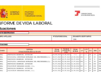 Sigue estos sencillos pasos para solicitar de forma gratuita el informe de vida laboral a la Tesorería General de la Seguridad Social (TGSS).