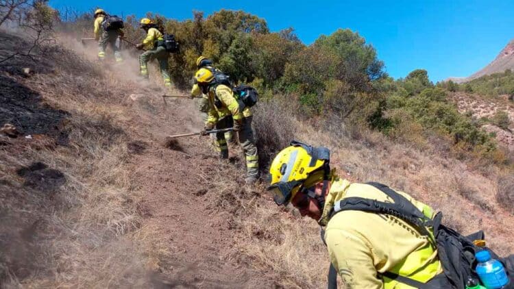 La Diputación Provincial de Jaén publica una nueva convocatoria de empleo público ofreciendo 16 plazas de bombero forestal.