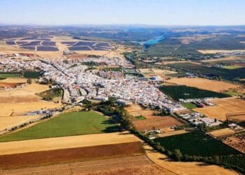 Una empresa dedicada a la producción y comercialización de frutas y hortalizas de la provincia de Sevilla ofrece 10 vacantes.