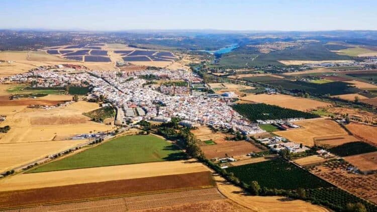 Una empresa dedicada a la producción y comercialización de frutas y hortalizas de la provincia de Sevilla ofrece 10 vacantes.