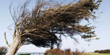 La AEMET manda alerta naranja a Cádiz por vientos y costeros.