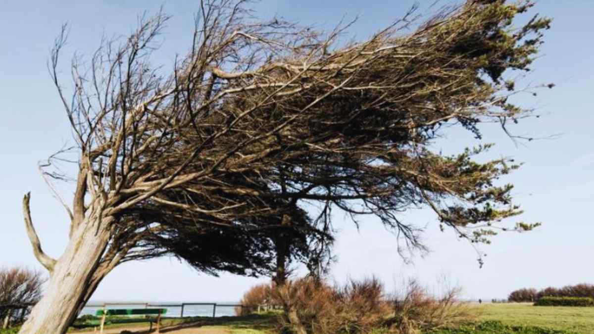 La AEMET manda alerta naranja a Cádiz por vientos y costeros.
