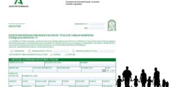 La Junta de Andalucía ofrece ayudas económicas para las familias numerosas.