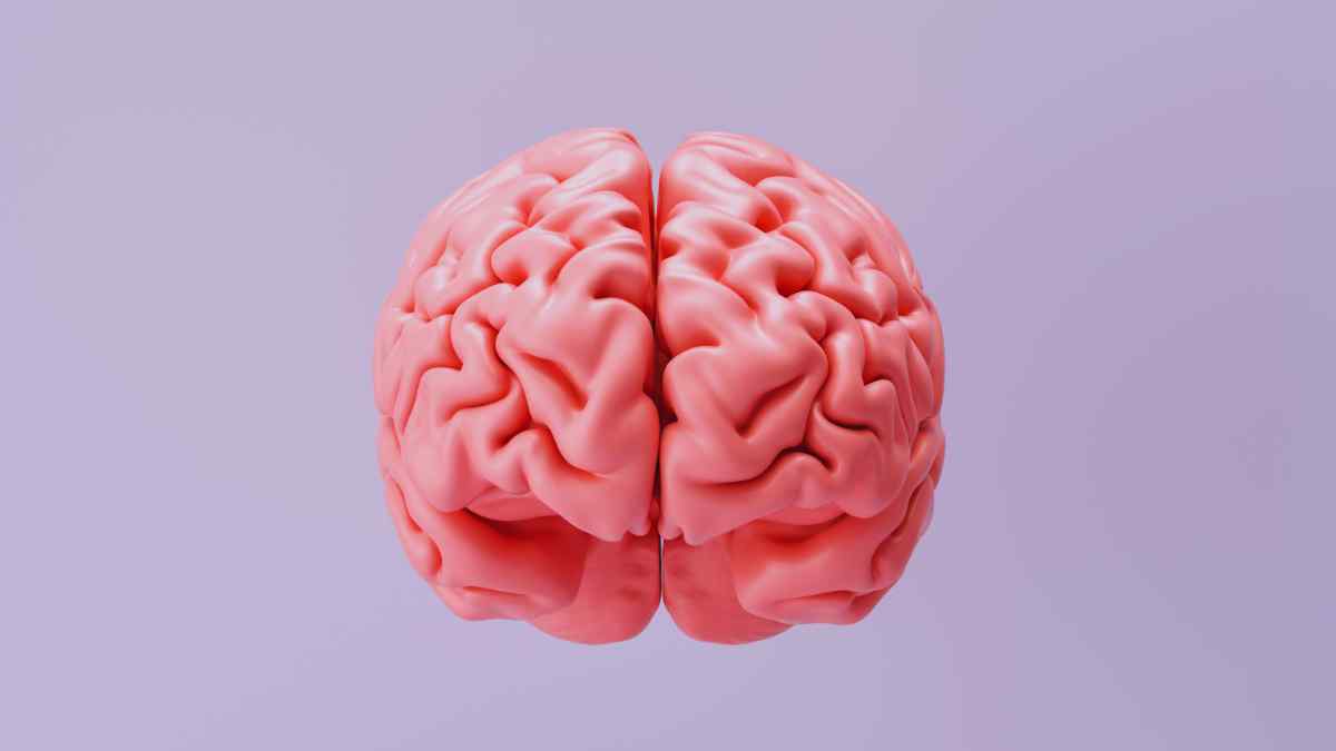 La colina es un nutriente imprescindible para el funcionamiento cerebral
