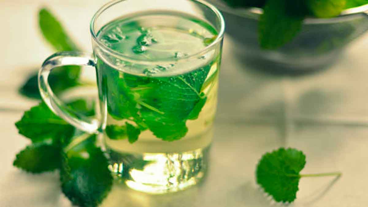 Esta popular hierba que seguro que tienes en casa podría ayudarte a perder peso. Estas son todas sus propiedades y así puedes consumirla.
