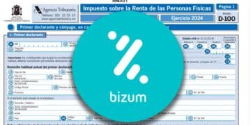 Formulario de la declaración de la Renta 2024 con el logotipo de Bizum superpuesto