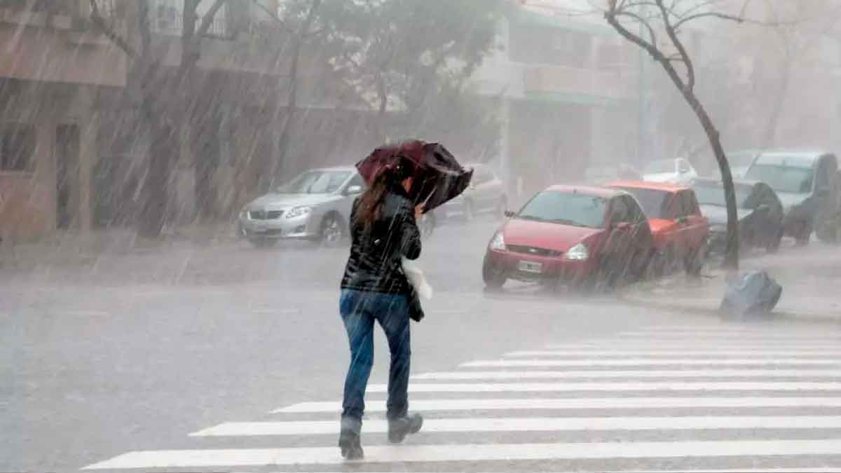 Mujer con paraguas cruza un paso de peatones durante un aguacero intenso en una calle andaluza, bajo aviso amarillo de la AEMET
