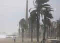 Playa andaluza con palmeras dobladas por el poniente y polvo en suspensión, 19 de mayo de 2025